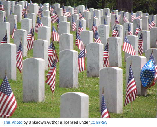 Memorial Day Image.png